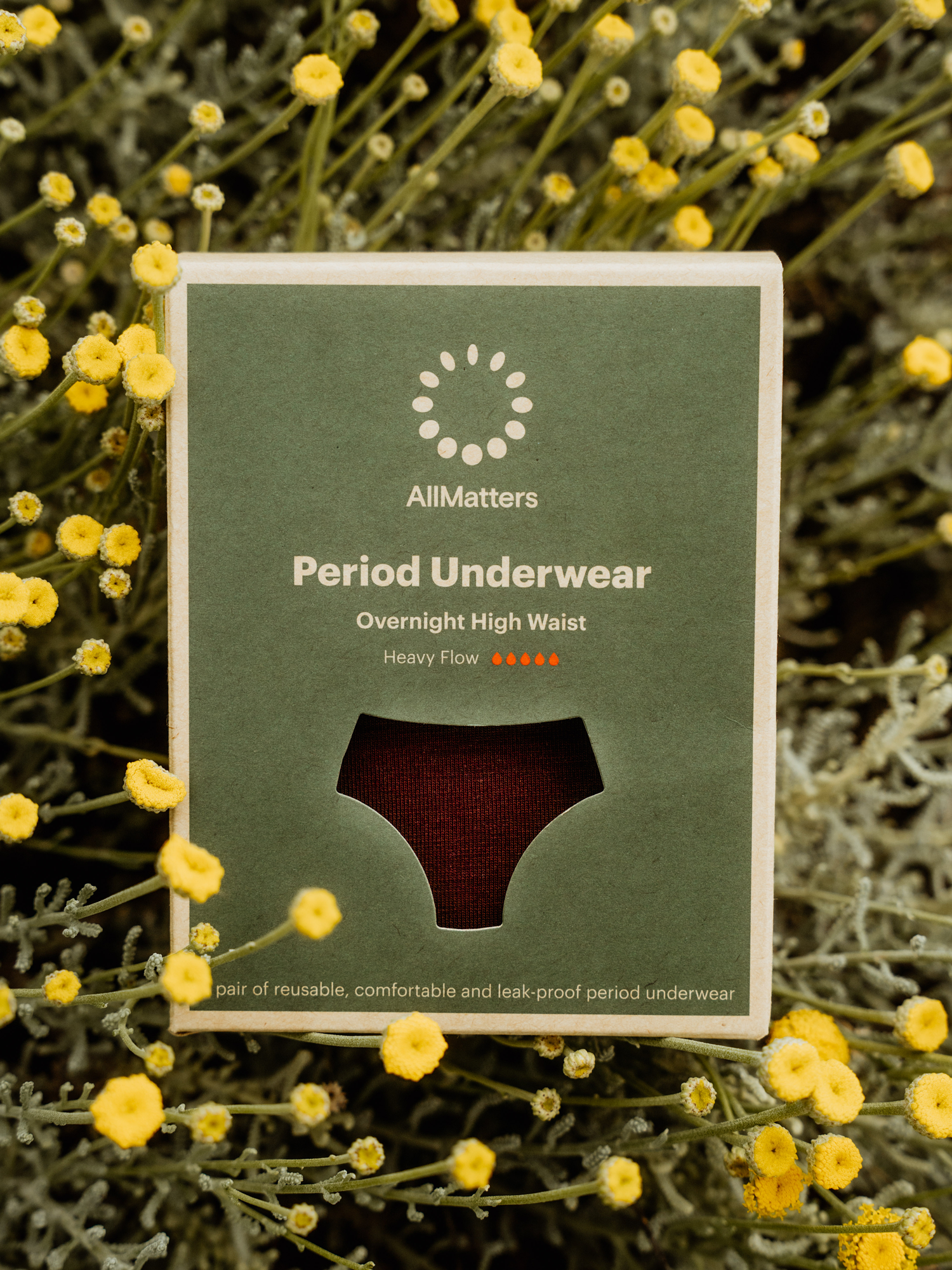 allmatters-overnight-high-waist-culotte-menstruelle-prune-nuit image 7