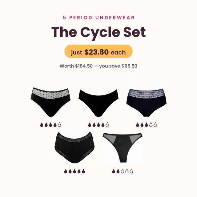 louloucup-rose-lot-5-culottes-menstruelles-flux-l-ger-abondant-coton-bio image 1
